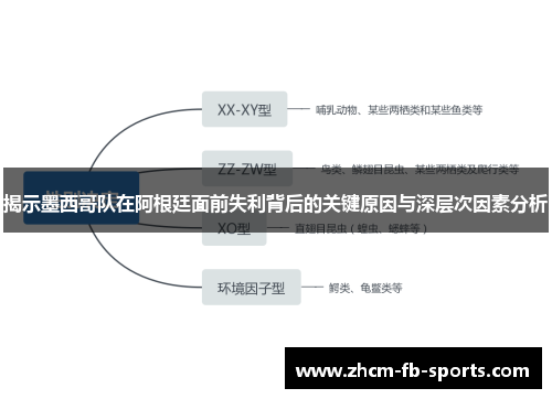 揭示墨西哥队在阿根廷面前失利背后的关键原因与深层次因素分析