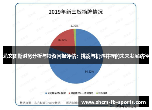 尤文图斯财务分析与投资回报评估：挑战与机遇并存的未来发展路径