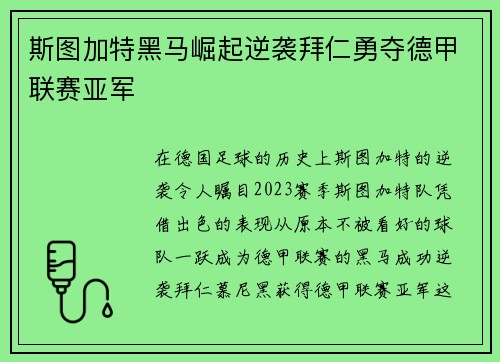 斯图加特黑马崛起逆袭拜仁勇夺德甲联赛亚军
